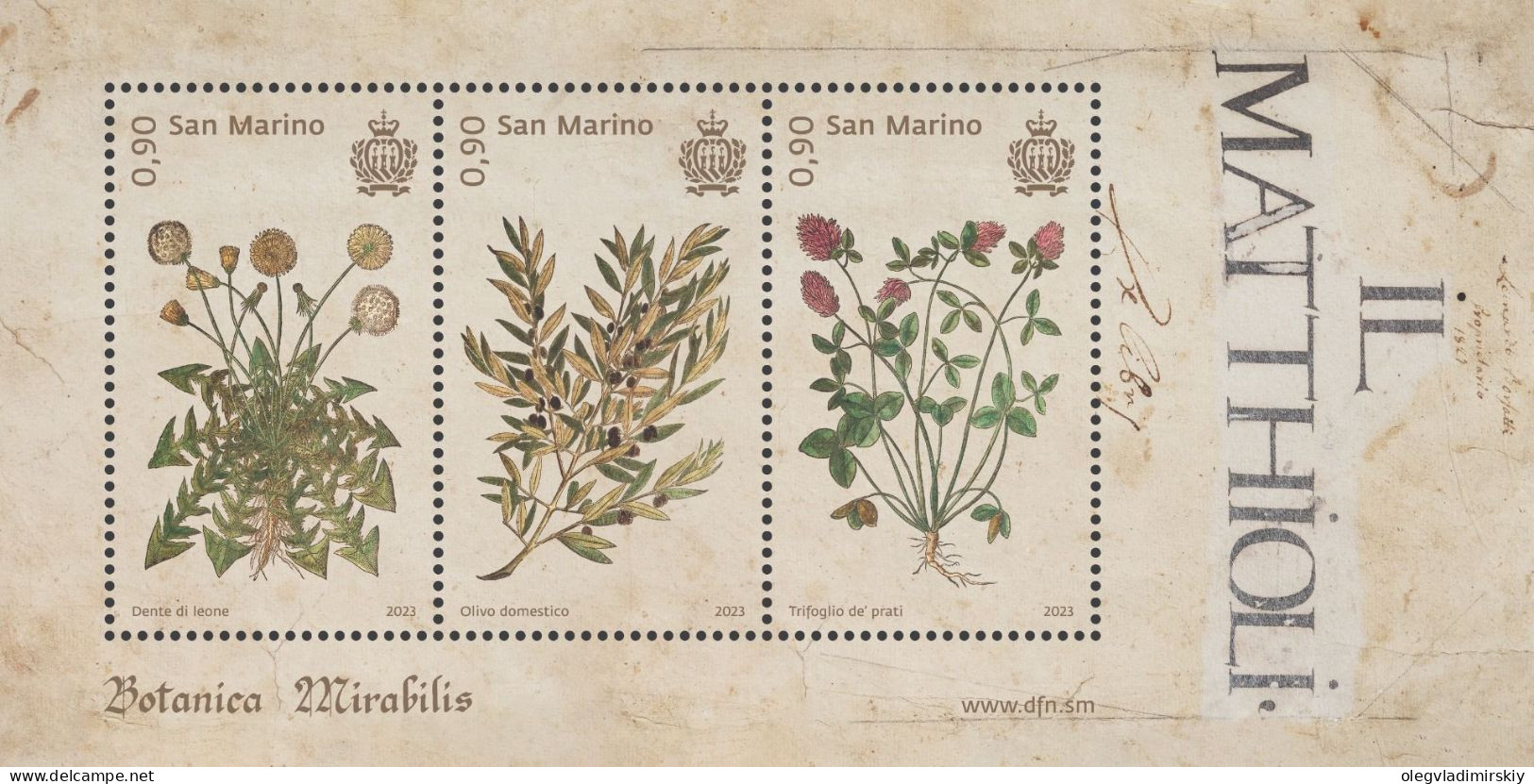 San Marino 2023 Botanica Mirabilis Flowers Set Of 3 Stamps In Block MNH - Other & Unclassified