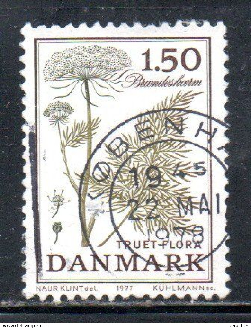 DANEMARK DANMARK DENMARK DANIMARCA 1977 ENDNGERED FLORA FLOWERS CNIDIUM DUBIUM FLOWER 1.50k USED USATO OBLITERE' - Oblitérés