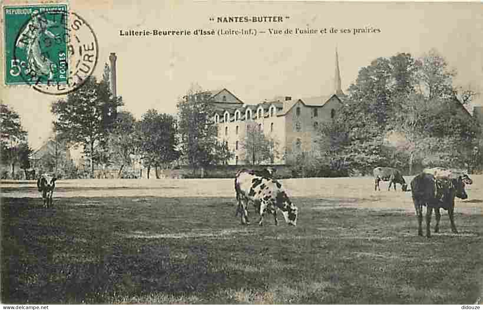 44 - Issé - Laiterie-Beurrerie D'Issé - Vue De L'Usine Et Des Prairies - Vaches - Industrie - Oblitération Ronde De 1909 - Other & Unclassified