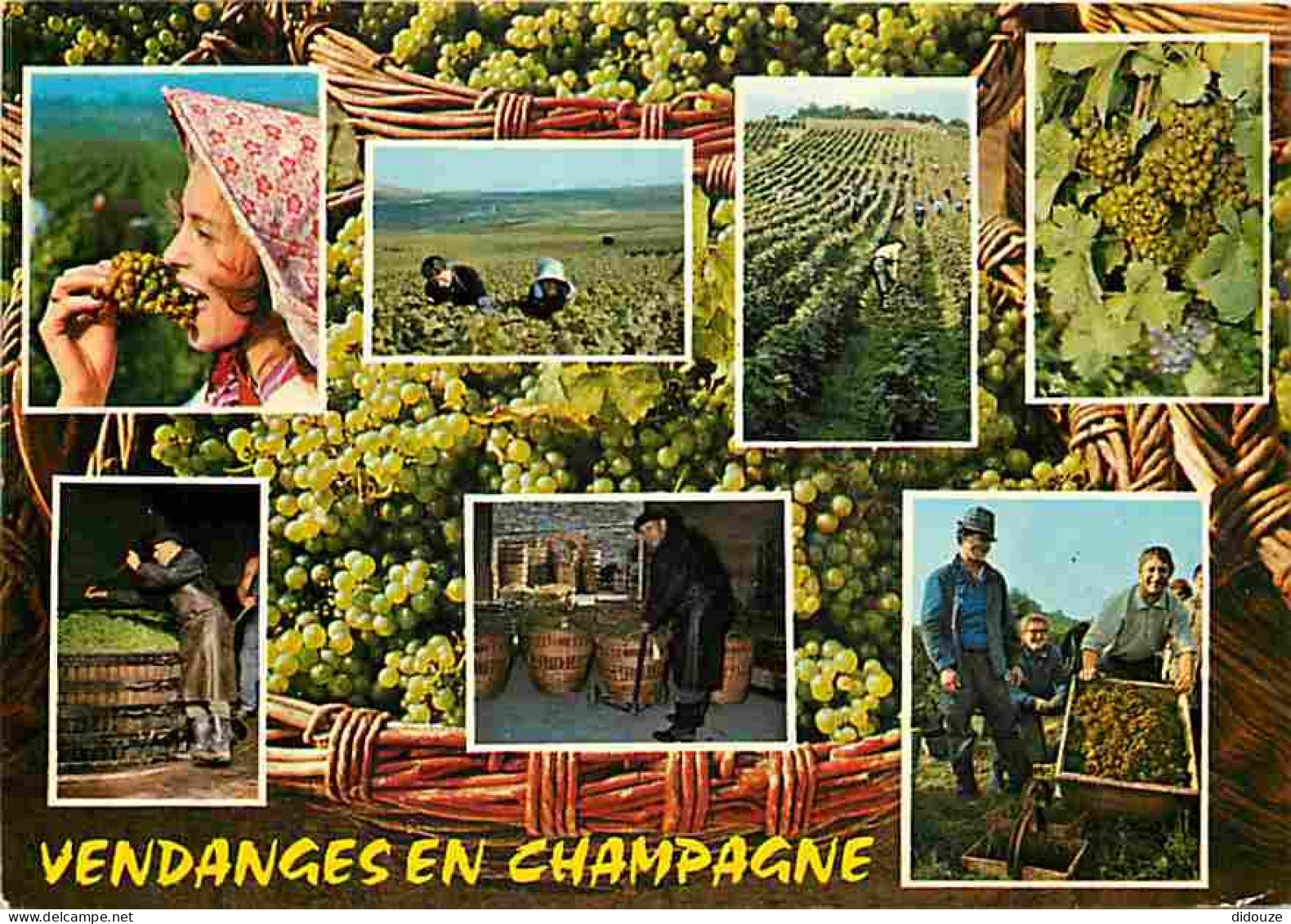 Vignes - Vendanges En Champagne - Multivues - Vendanges - Raisins - Vin - CPM - Voir Scans Recto-Verso - Vigne