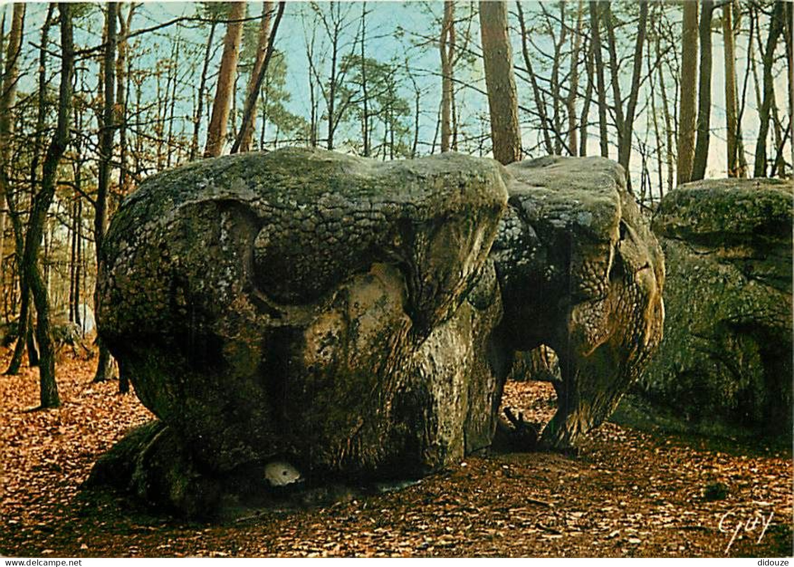 77 - Fontainebleau - Forêt De Fontainebleau - Aux Environs De Barbizon Dans Les Gorges D'Apremont : L'Eléphant - Curiosi - Fontainebleau
