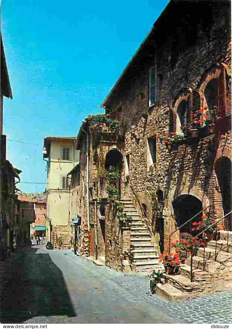 Italie - Assisi - Rue Fontebella - CPM - Voir Scans Recto-Verso - Other & Unclassified