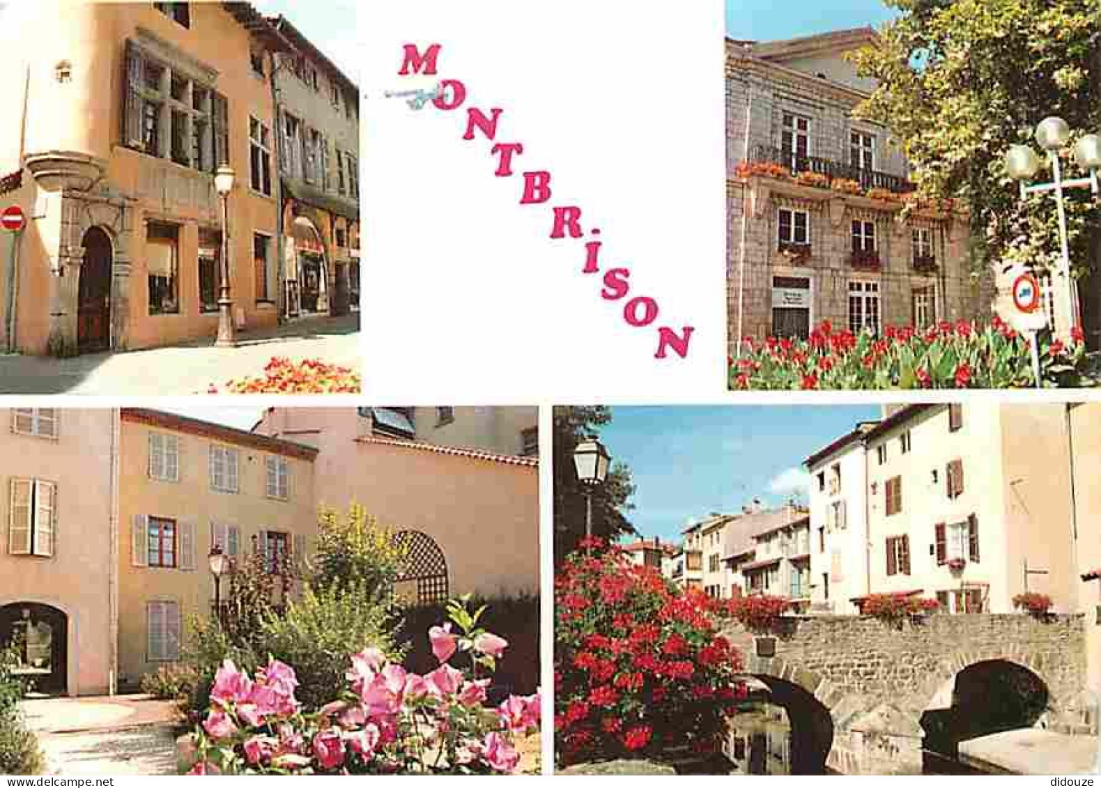 42 - Montbrison - Multivues - Fleurs - CPM - Voir Scans Recto-Verso - Montbrison