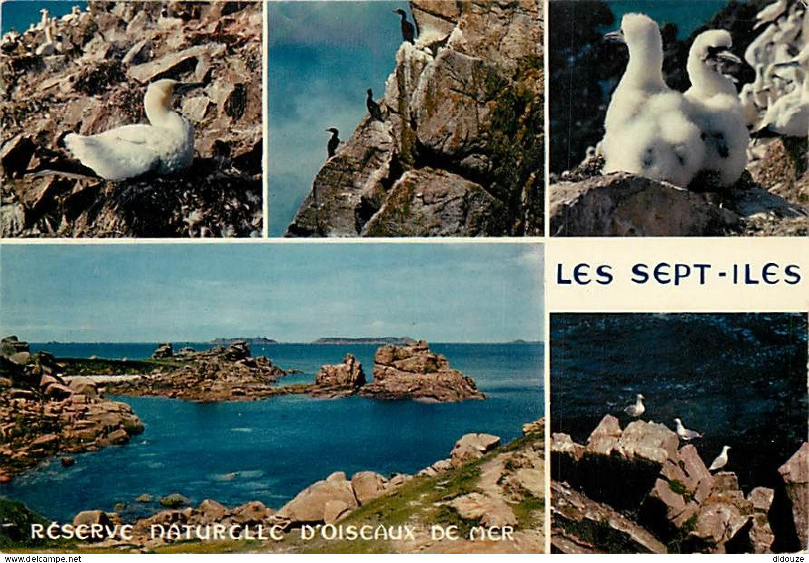 22 - Les Sept Iles - Réserve Naturelle D'Oiseaux De Mer - Multivues - Oiseaux - Fou De Bassan - CPM - Voir Scans Recto-V - Other & Unclassified