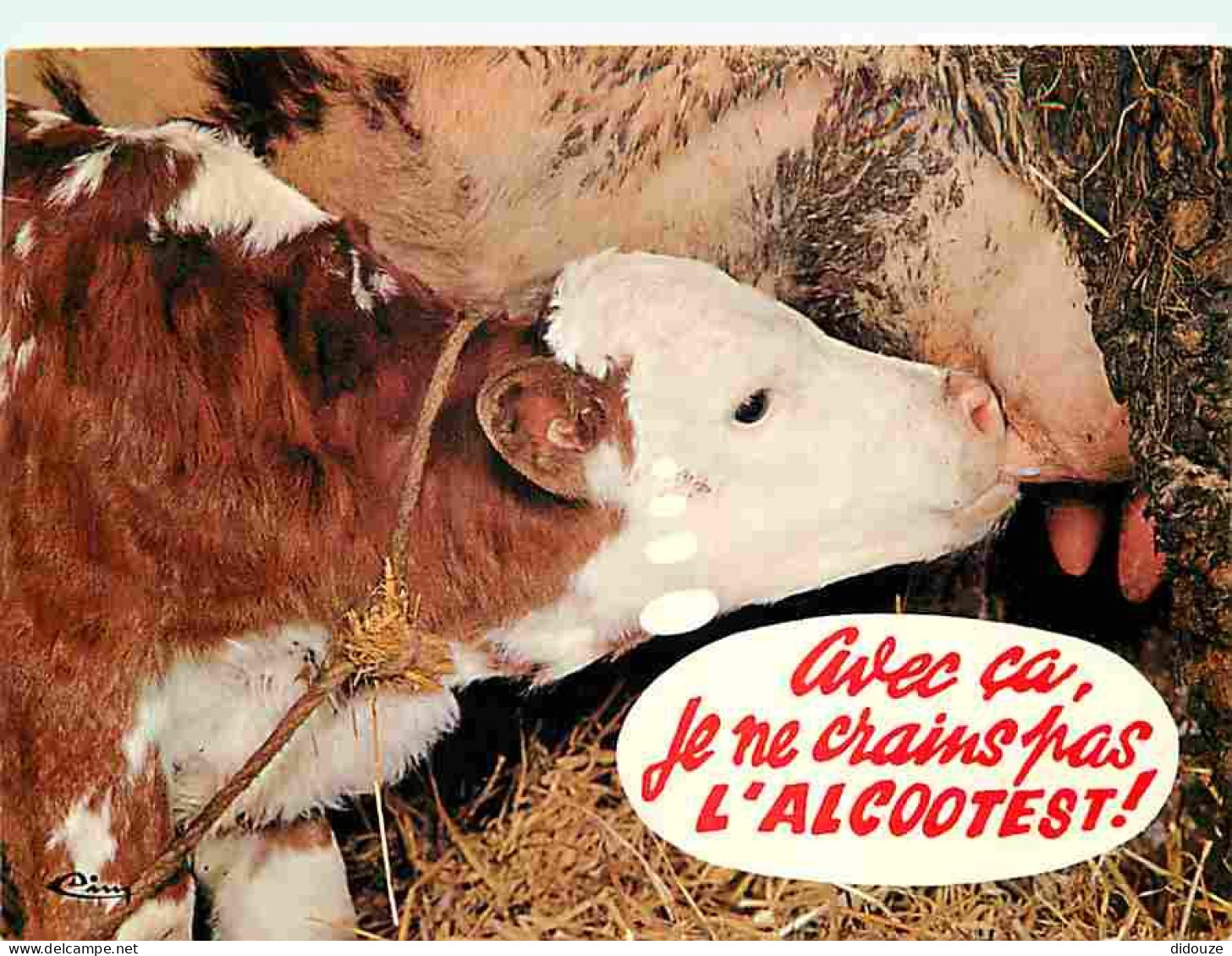 Animaux - Vaches - Carte Humoristique - Veau Qui Tete - CPM - Voir Scans Recto-Verso - Vaches