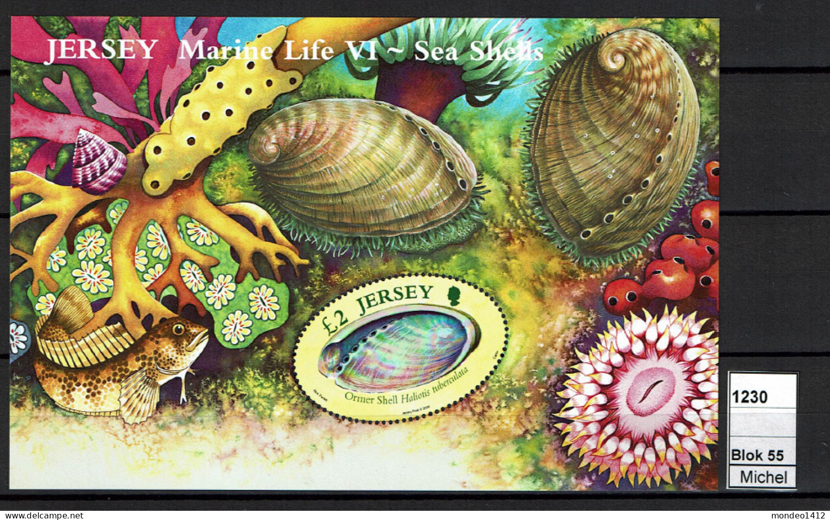 Jersey - 2006 - MNH - Marine Life, Sea Shells, Coquillages - Jersey
