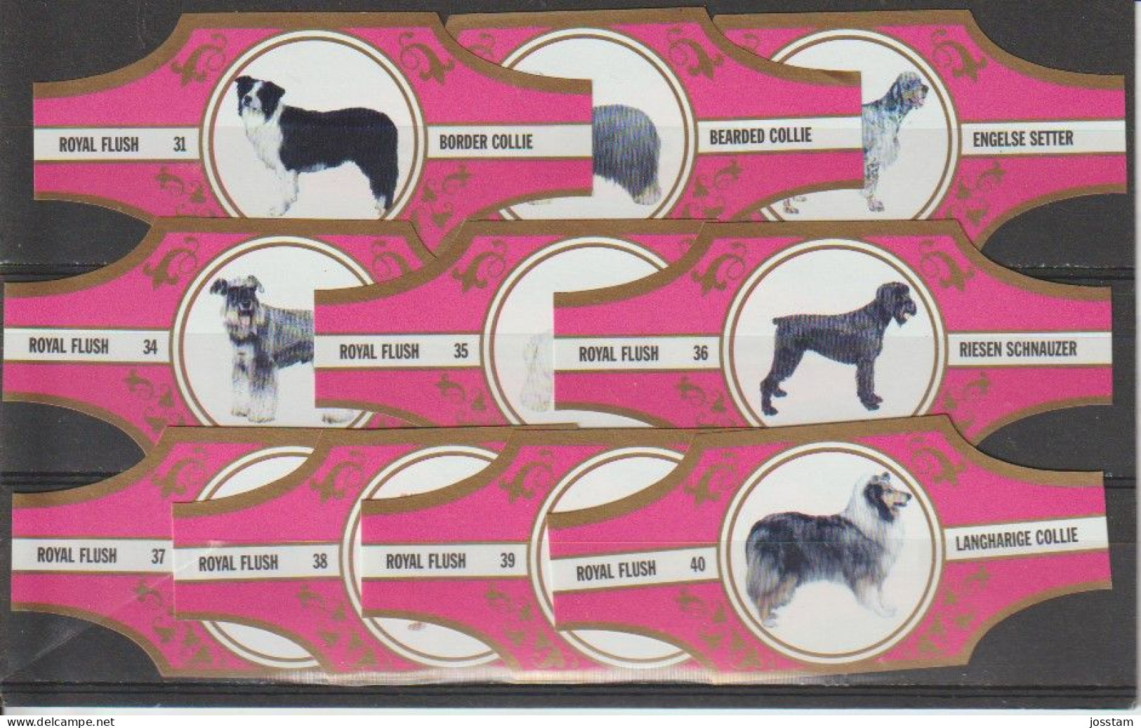 Reeks 2437  Honden      1-10      ,10   Stuks Compleet      , Sigarenbanden Vitolas , Etiquette - Bagues De Cigares