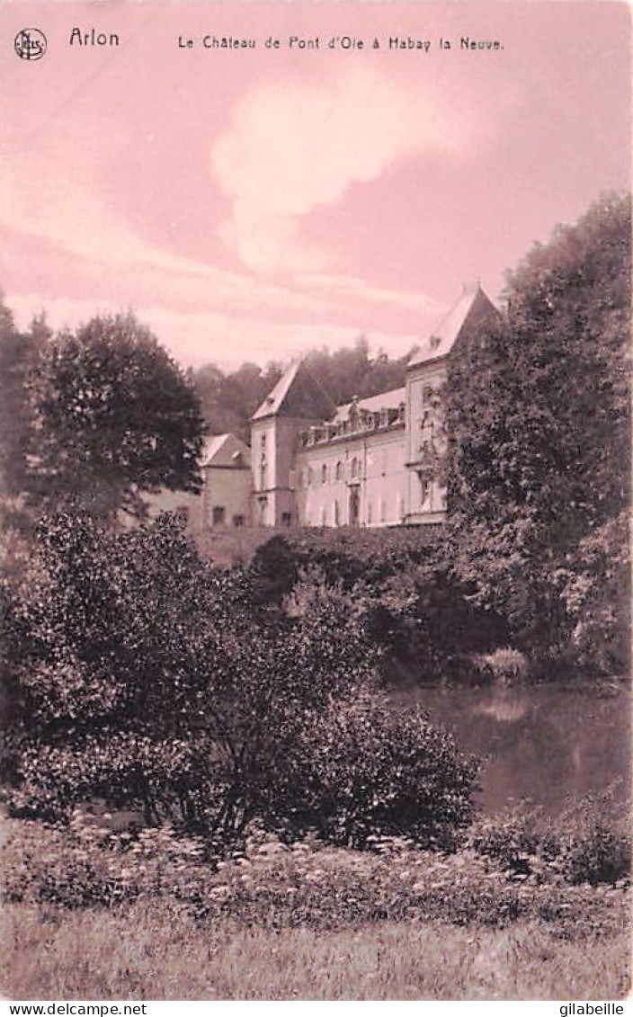 Arlon -  Le Château De Pont D'Oie à Habay La Neuve - Arlon