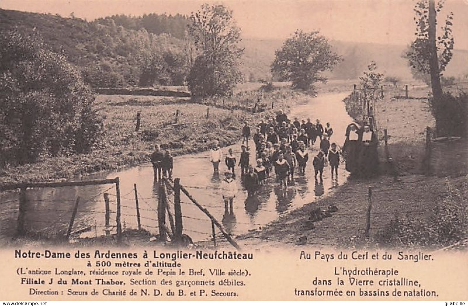 Luxembourg - LONGLIER NEUFCHATEAU - Notre Dame Des Ardennes - Au Parc Du Cerf Et Du Sanglier - Ebats Joyeux - Neufchâteau