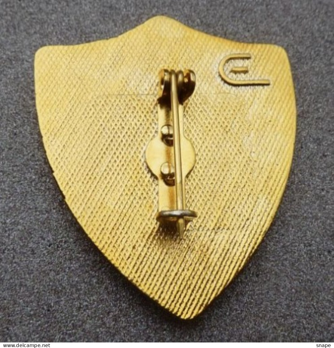 Distintivo Vetrificato - Carabinieri Tutela Patrimonio Artistico - Obsoleto - Italian Police Carabinieri Insignia (283) - Police