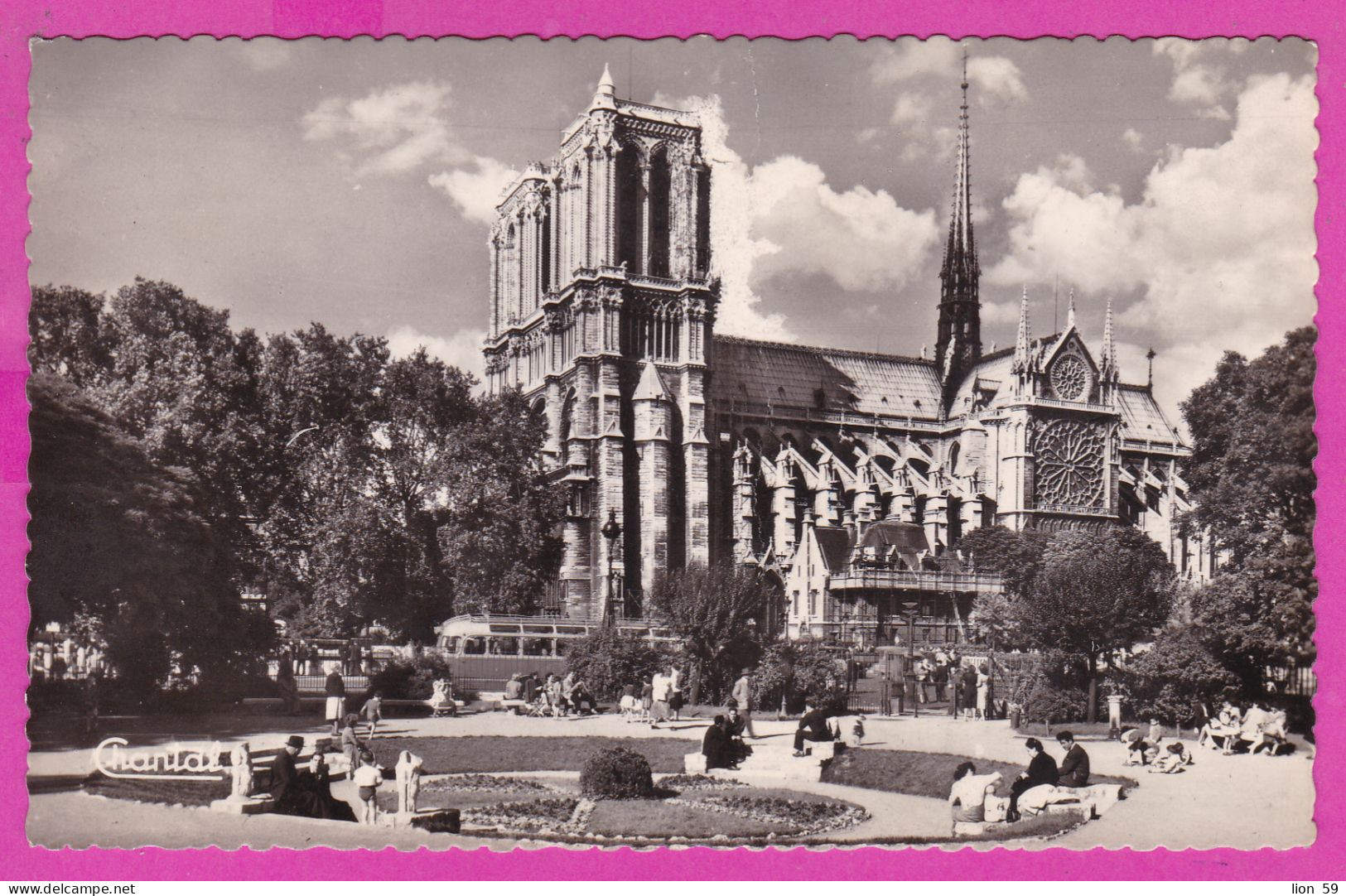 294242 / France - Paris Notre-Dame Et Square Viviani PC 1957 Paris R. Cler USED 15 Fr. Marianne Of Muller - 1955-1961 Marianne Van Muller