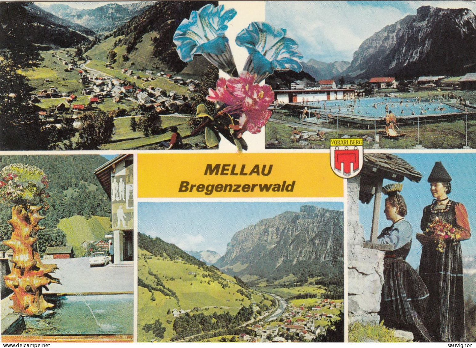 3 AK Von MELLAU Im Bregenzerwald Mit Kanisfluh, Um 1965 - Other & Unclassified