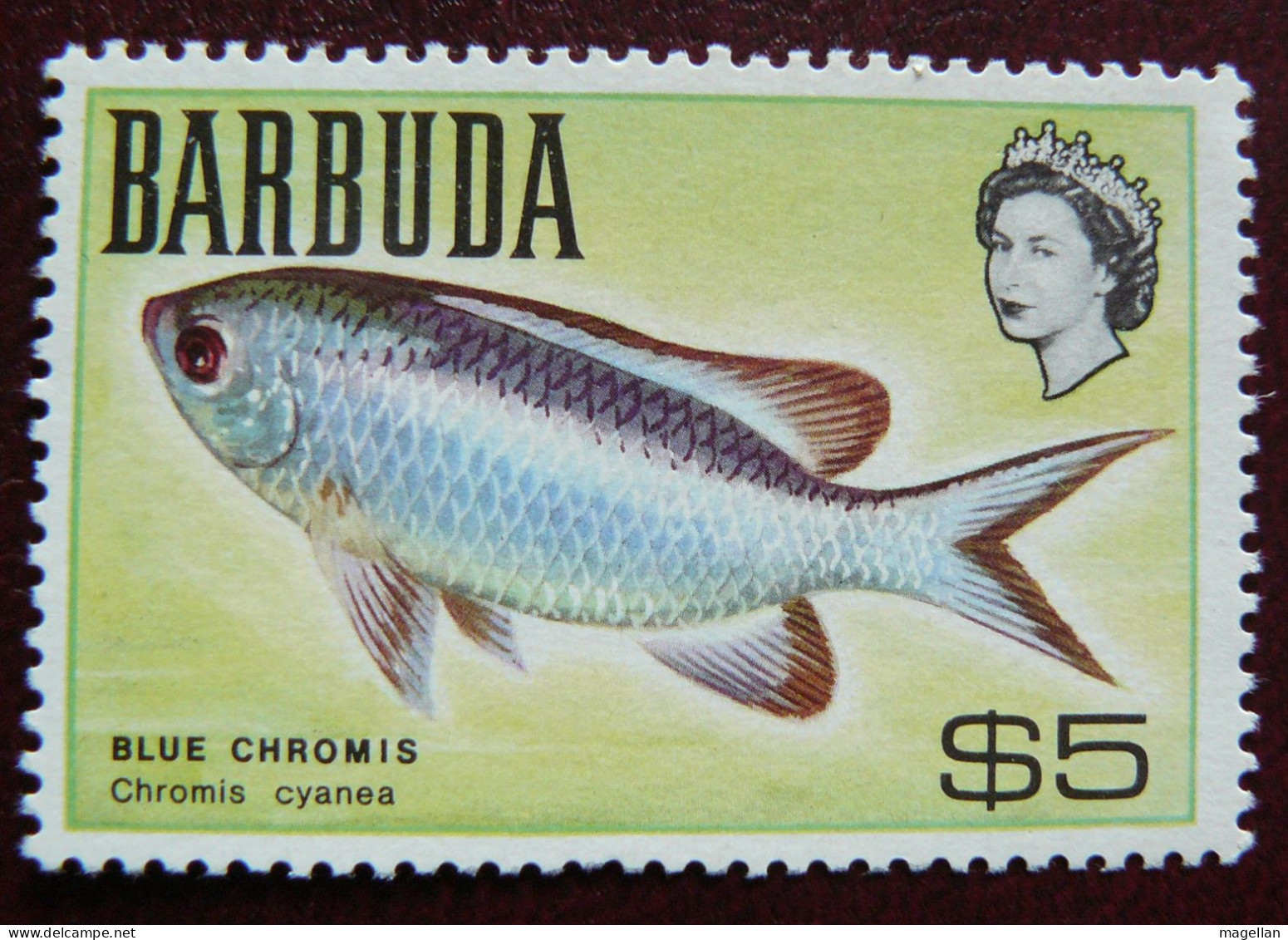 Barbuda YT N° 27 Neuf ** (MNH) - Poisson - Pêche - Poissons