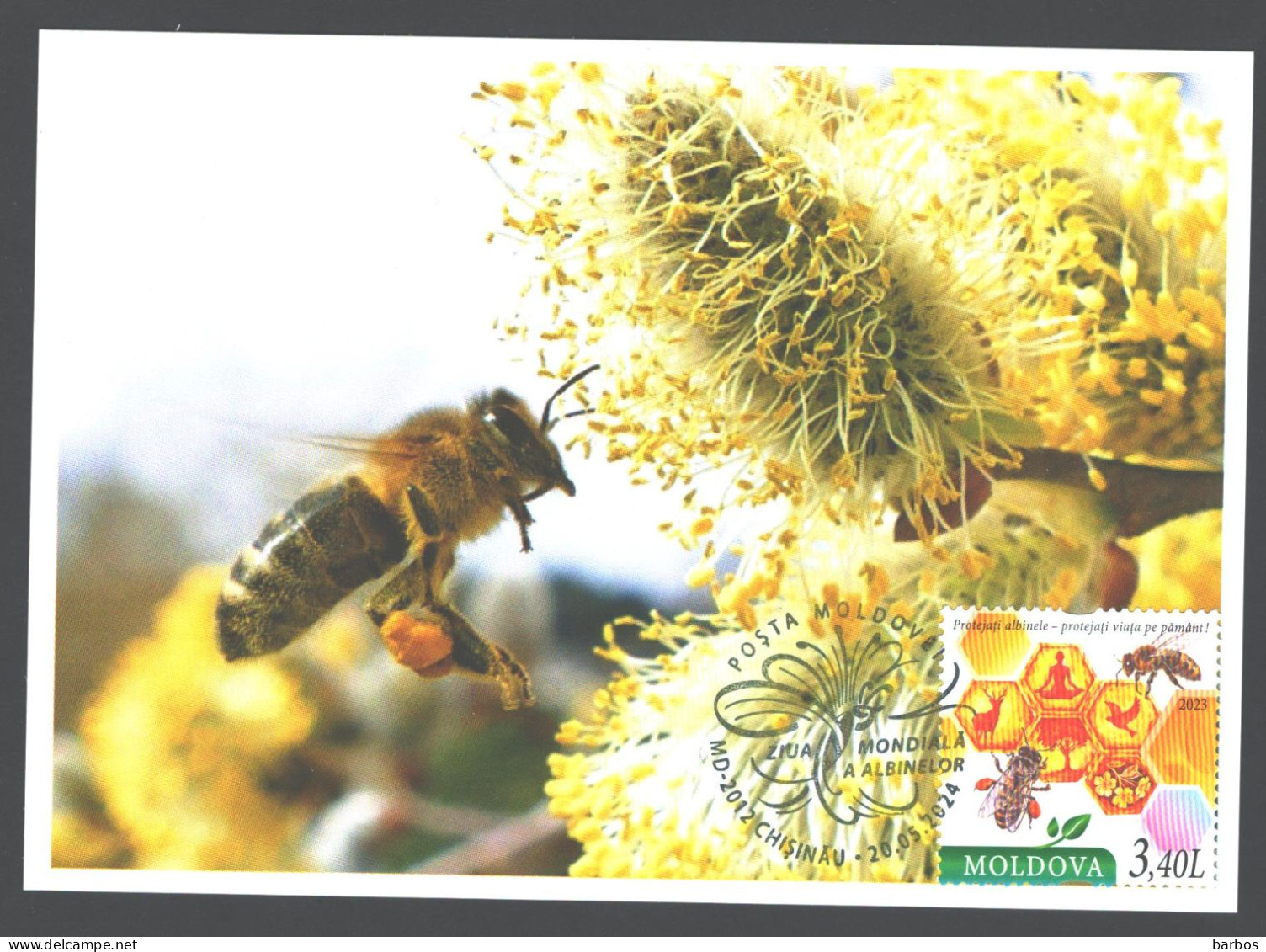 Moldova , 2024 , World Bee Day , Insects, Honeybees ,maxicard - Honeybees