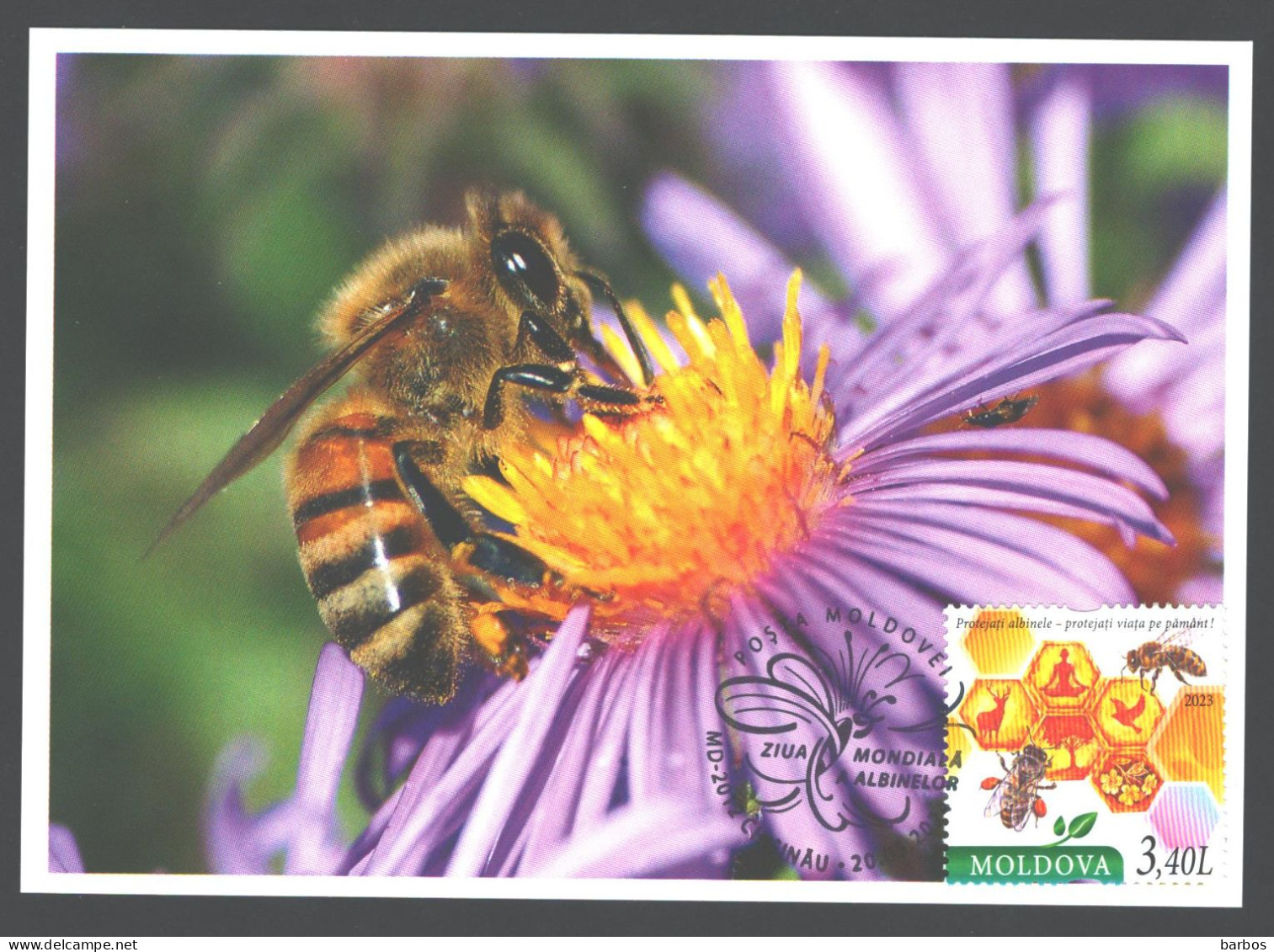 Moldova , 2024 , World Bee Day , Insects, Honeybees , Maxicard - Honeybees