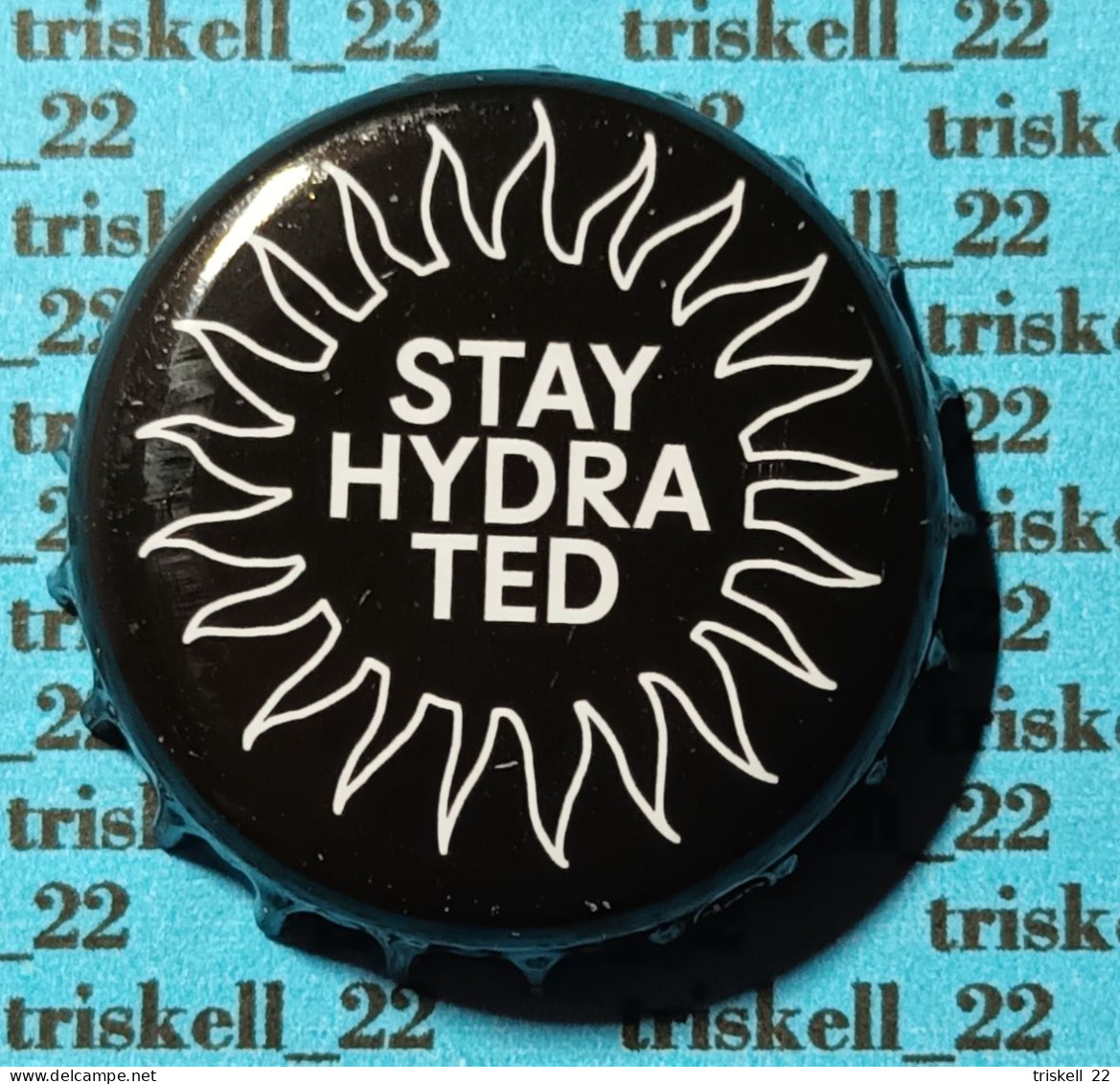 Stay Hydra Ted   Lot N° 37 - Bier