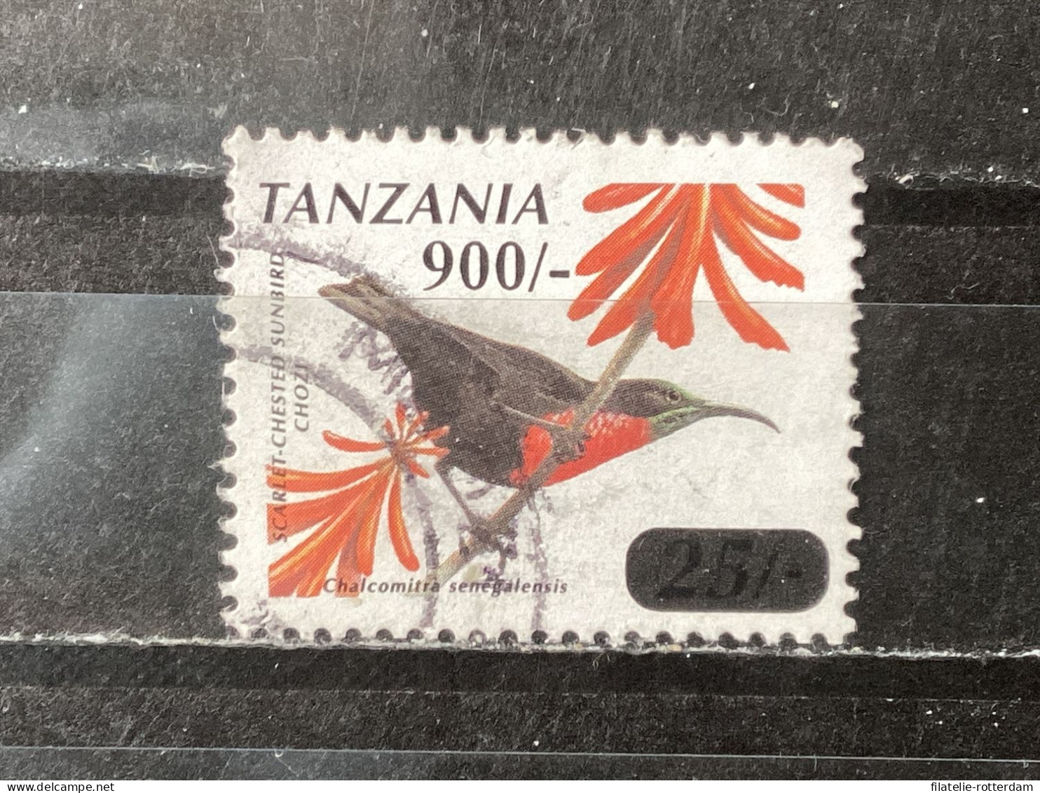 Tanzania - Birds (900) 2010 - Tanzania (1964-...)