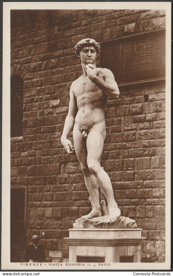Il David, Piazza Signoria, Firenze, C.1920s - PGCF Foto Cartolina - Sculptures