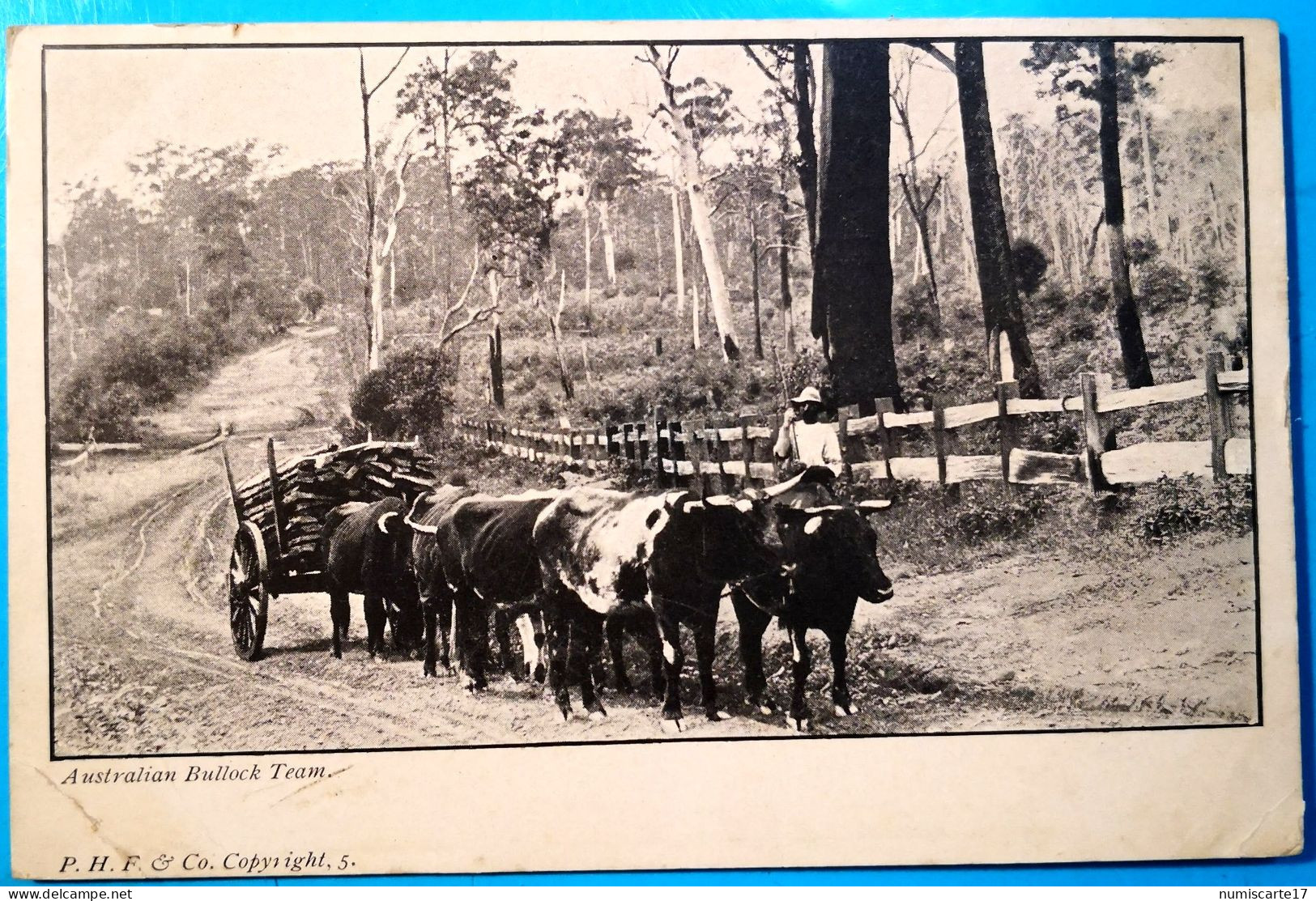 Cpa Australian Bullock Team - Sonstige & Ohne Zuordnung