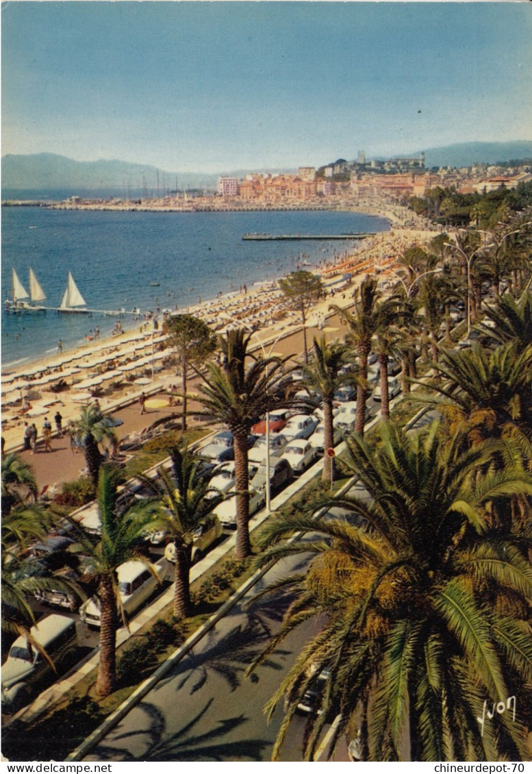 Cannes La Croisette Vers Le Suquet - Cannes