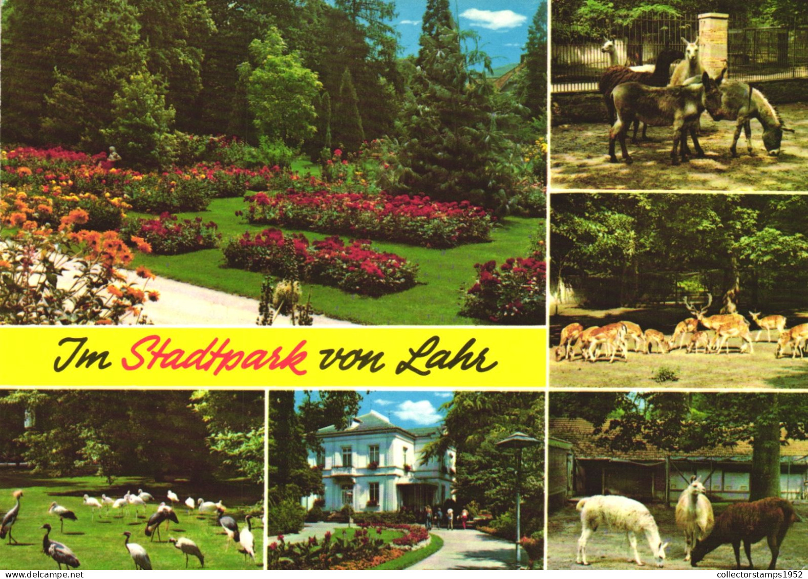 LAHR, BADEN WURTTEMBERG, MULTIPLE VIEWS, ARCHITECTURE, PARK, HORSE, BIRDS, DEER, DONKEY, GARDEN, ZOO, GERMANY, POSTCARD - Lahr