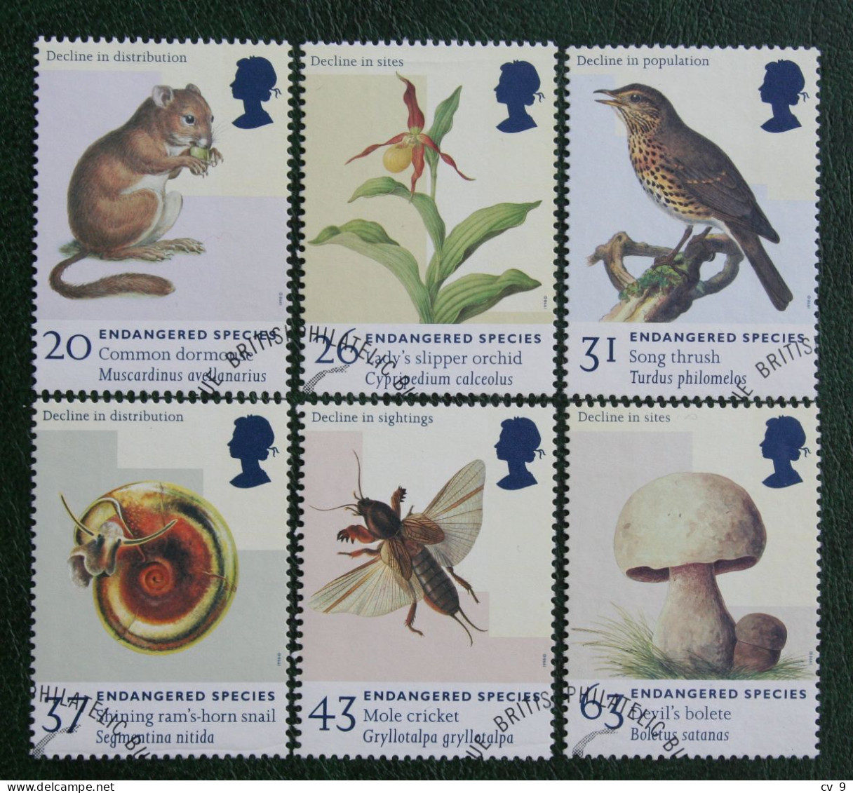 ENDANGERED SPECIES ORCHID MOUSE (Mi 1723-1728) 1998 Used Gebruikt Oblitere ENGLAND GRANDE-BRETAGNE GB GREAT BRITAIN - Used Stamps