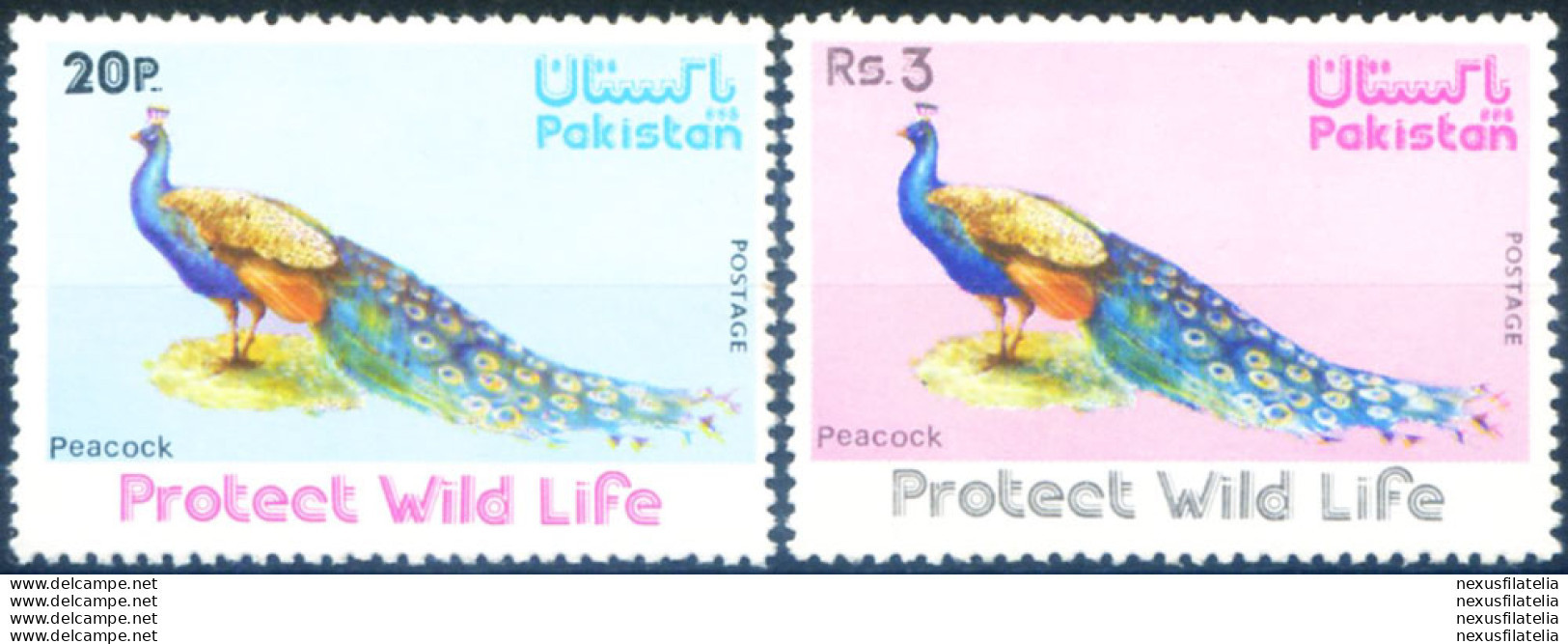 Fauna. Uccelli. Pavone 1976. - Pakistan