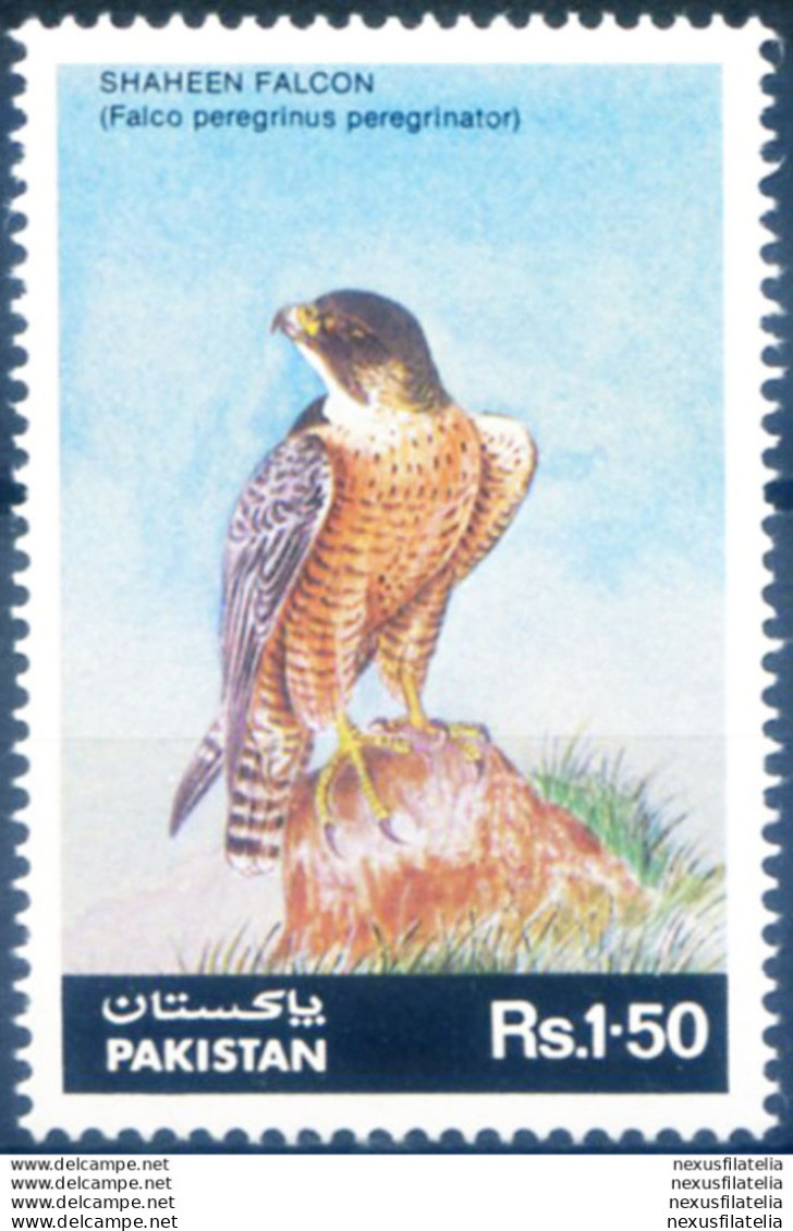 Fauna. Falco 1986. - Pakistan