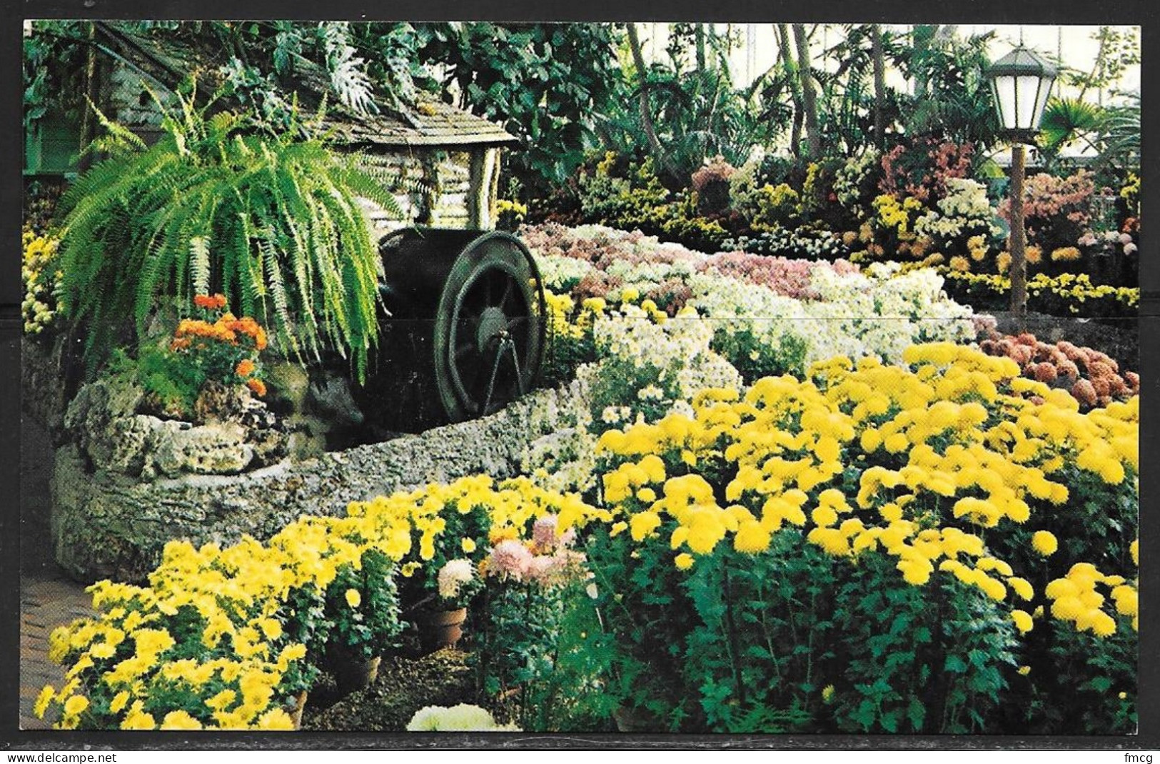 Missouri, St. Louis, Forest Park, Jewel Box, Chrysanthemum Show, Unused - St Louis – Missouri