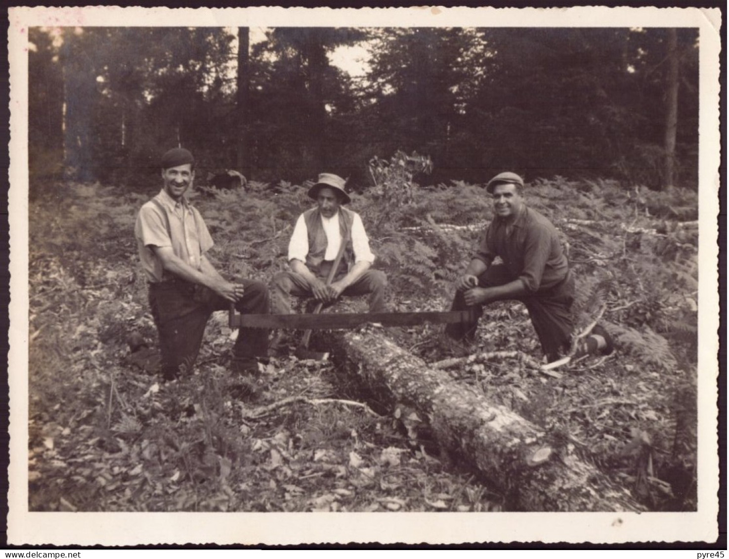 PHOTO DE BUCHERONS DANS UNE FORET 22.5 X 17 CM - Anonymous Persons