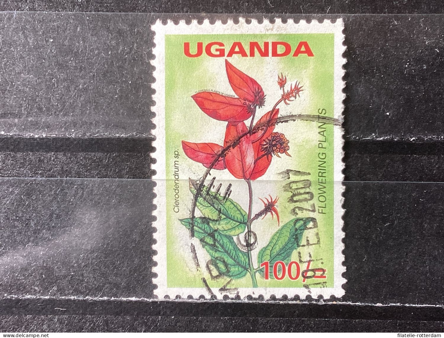 Oeganda / Uganda - Bloemen (100) 2005 - Uganda (1962-...)