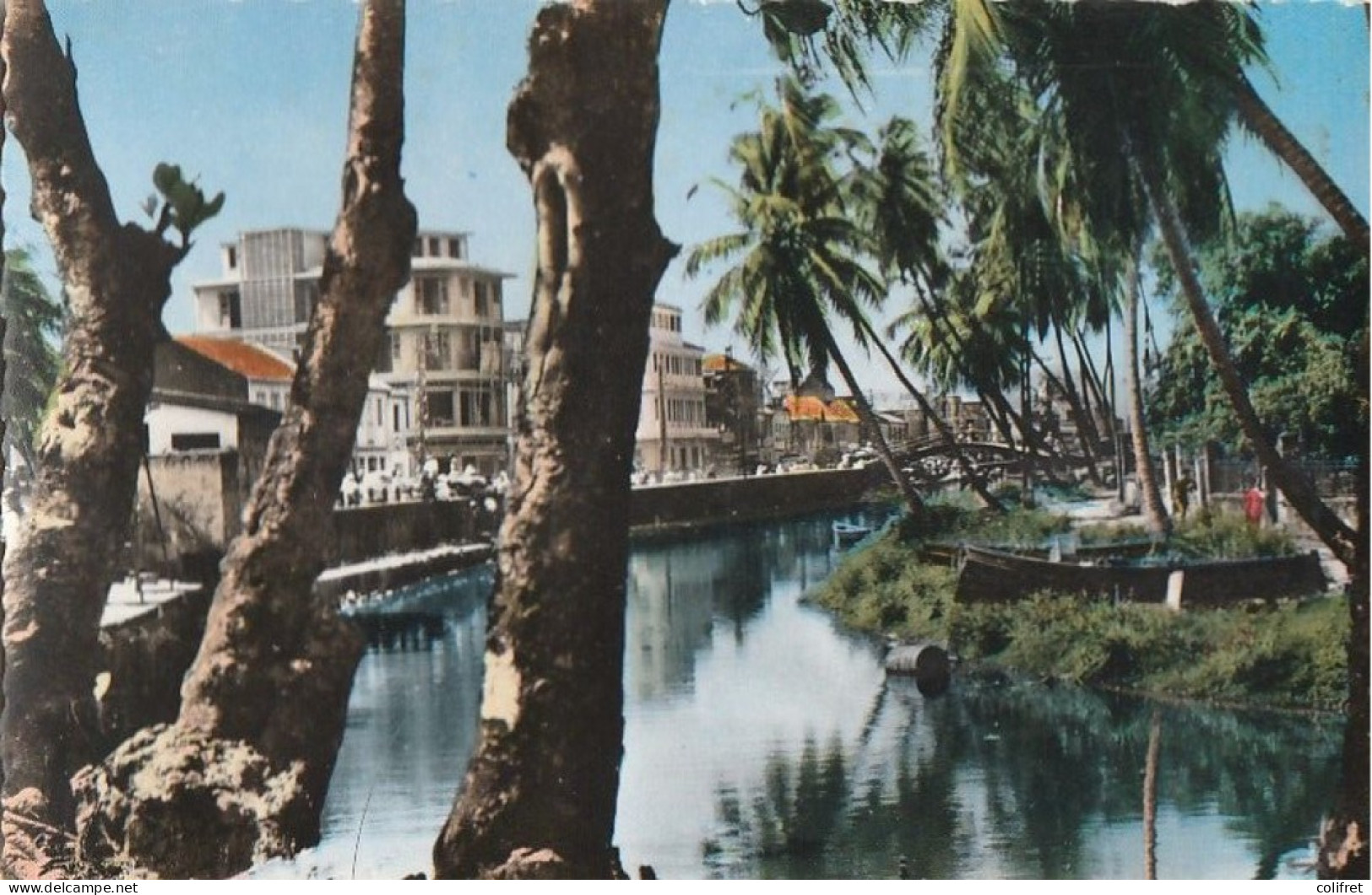 Martinique -  Fort-de-France  -  La Rivière Madame - Fort De France