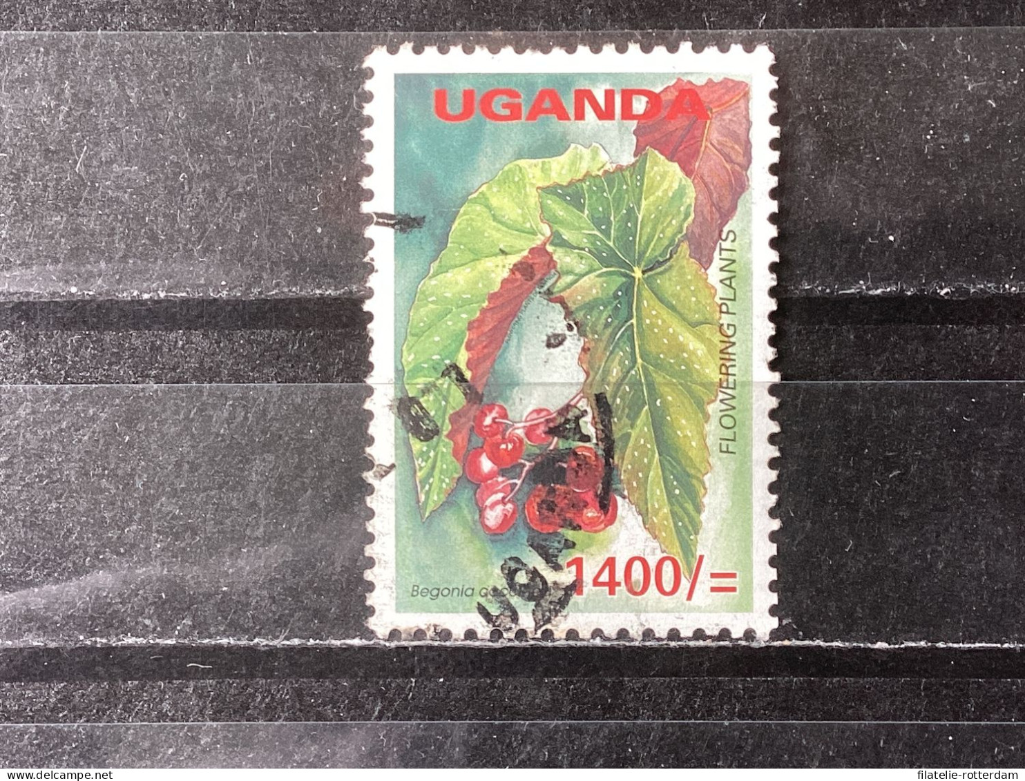 Oeganda / Uganda - Bloemen (1400) 2005 - Uganda (1962-...)