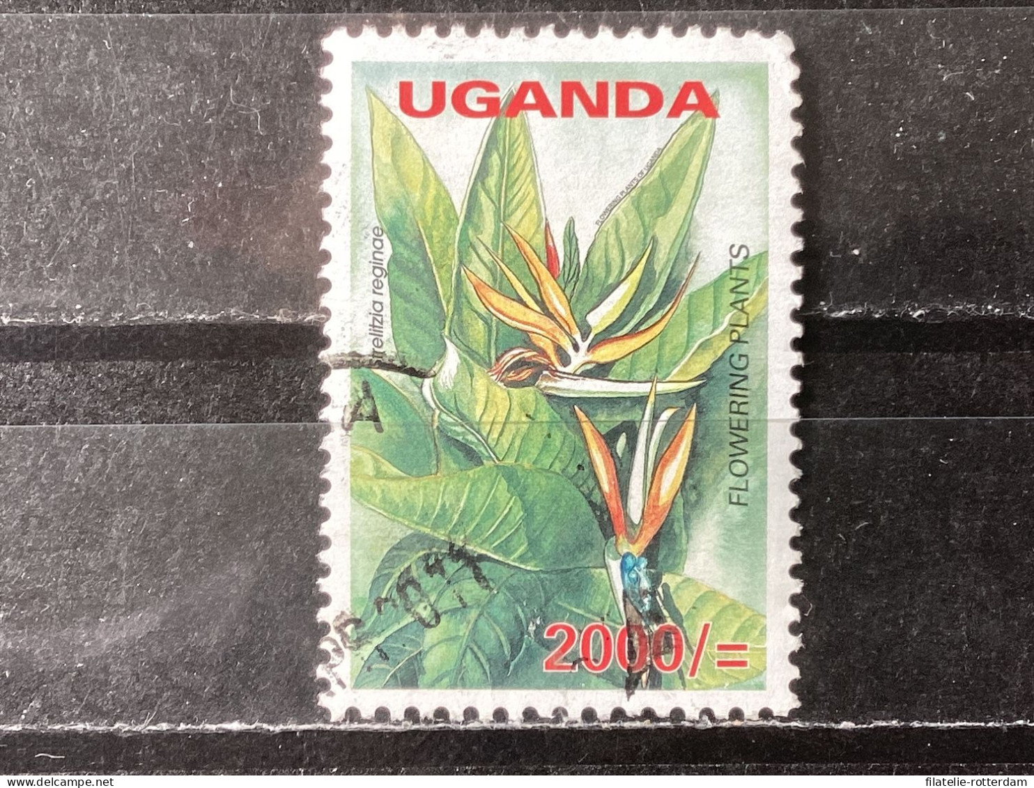 Oeganda / Uganda - Bloemen (2000) 2005 - Ouganda (1962-...)