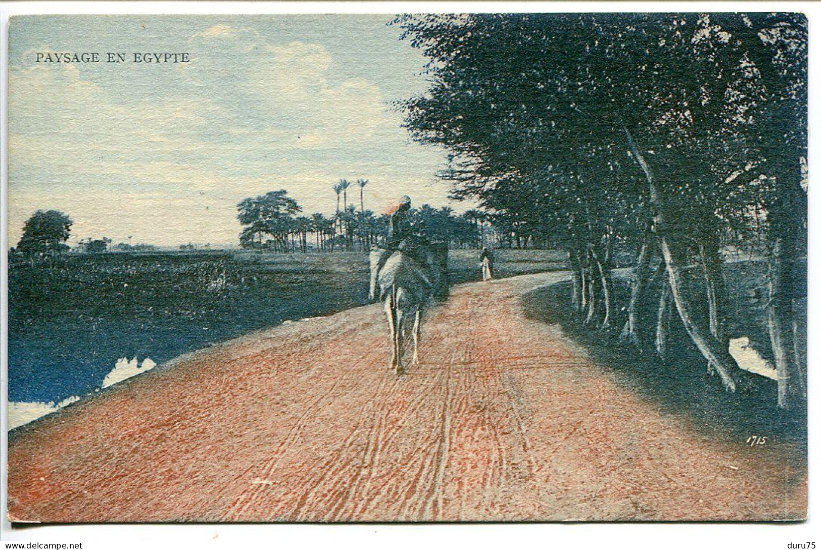 PAYSAGE EN EGYPTE ( Route Chemin Animés ) The Cairo Postcard Trust - Other & Unclassified