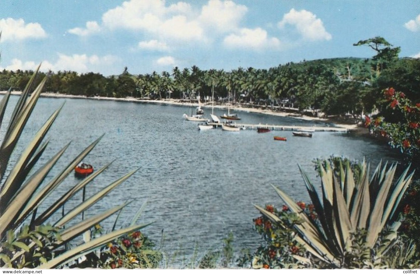 Martinique -  Le Quai Et La Plage De L'Auberge - Other & Unclassified