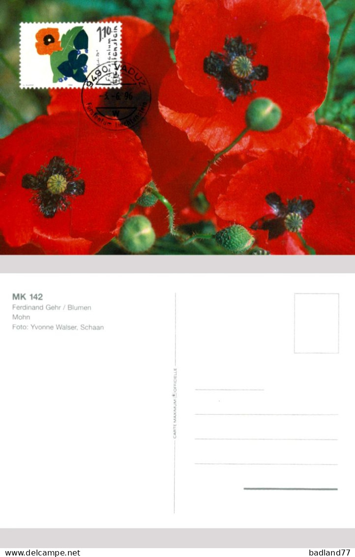 Liechtenstein - PostKarte - Blumen - Other & Unclassified