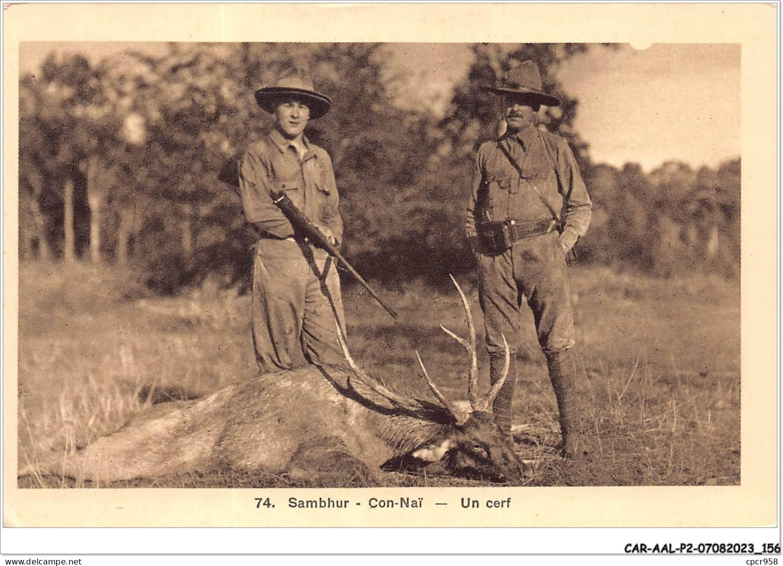 CAR-AALP2-VIETNAM-0170 - Sambhur-con-Nai - Un Cerf  - Vietnam