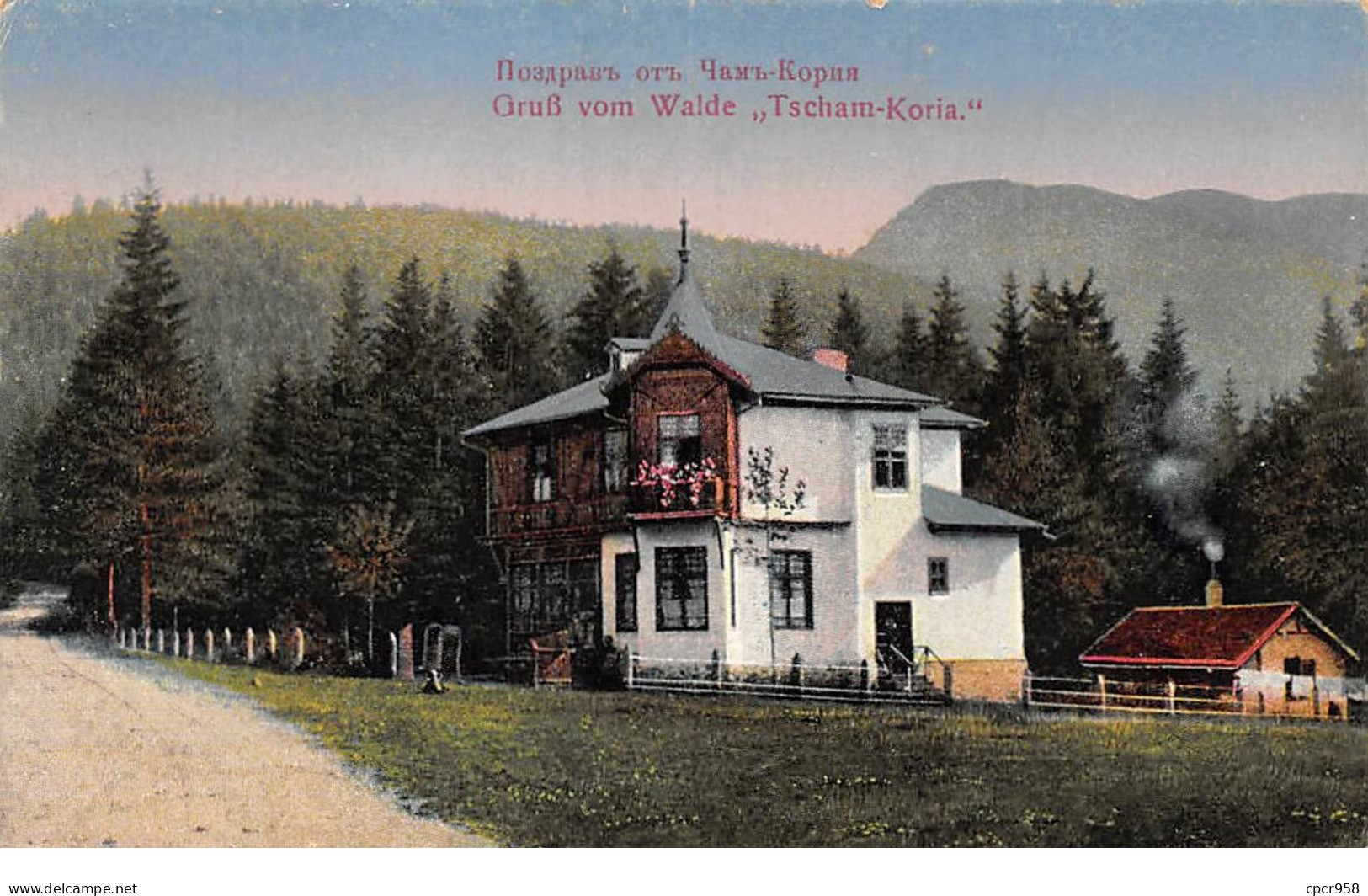 Bulgarie - N°65047 - Gruss Vom Walde Tscham-Koria - Bulgaria