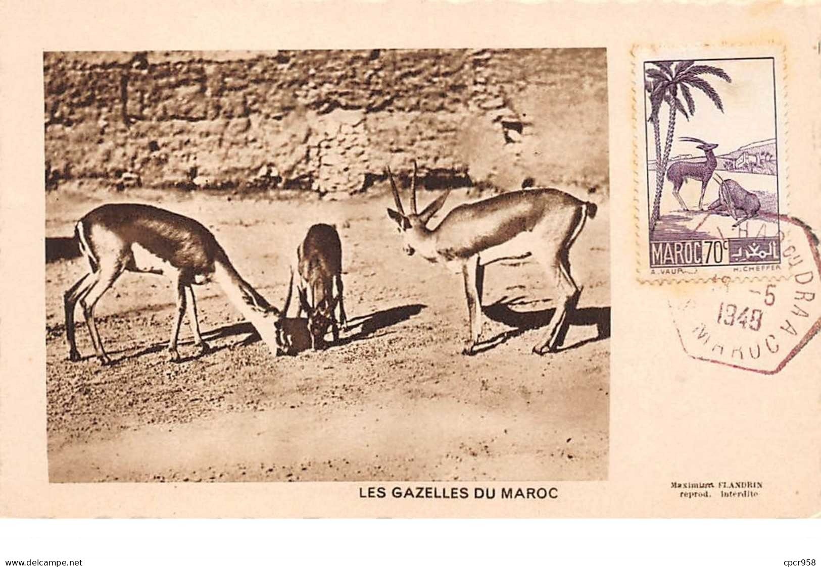 Maroc.n°57977.casablancales Gazelles Du Maroc.carte Maximum. - Casablanca