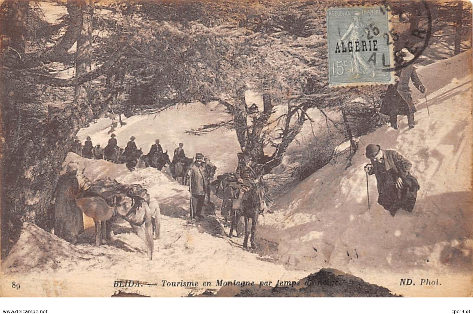 Algérie - N°63427 - Blida - Tourisme En Montagne Par Temps De Neige - Blida