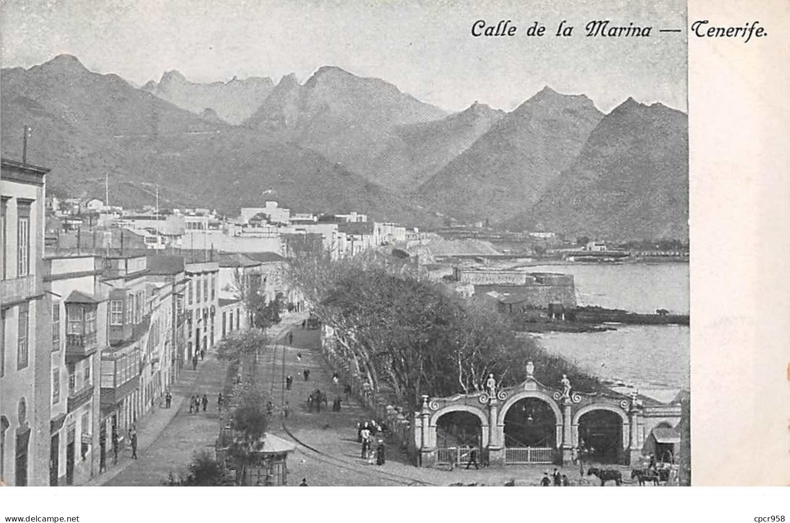 Espagne - N°60837 - Calle De La Marina Tenerife - Tenerife
