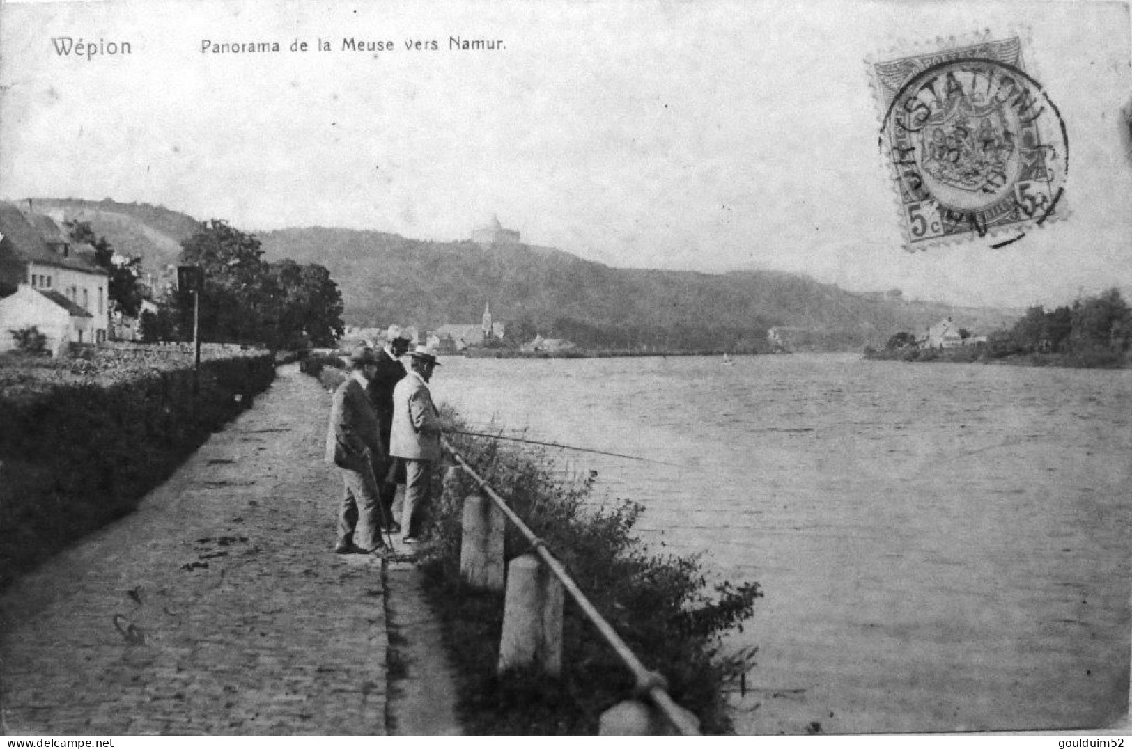 Wépion : Panorama De La Meuse Vers Namur - Profondeville