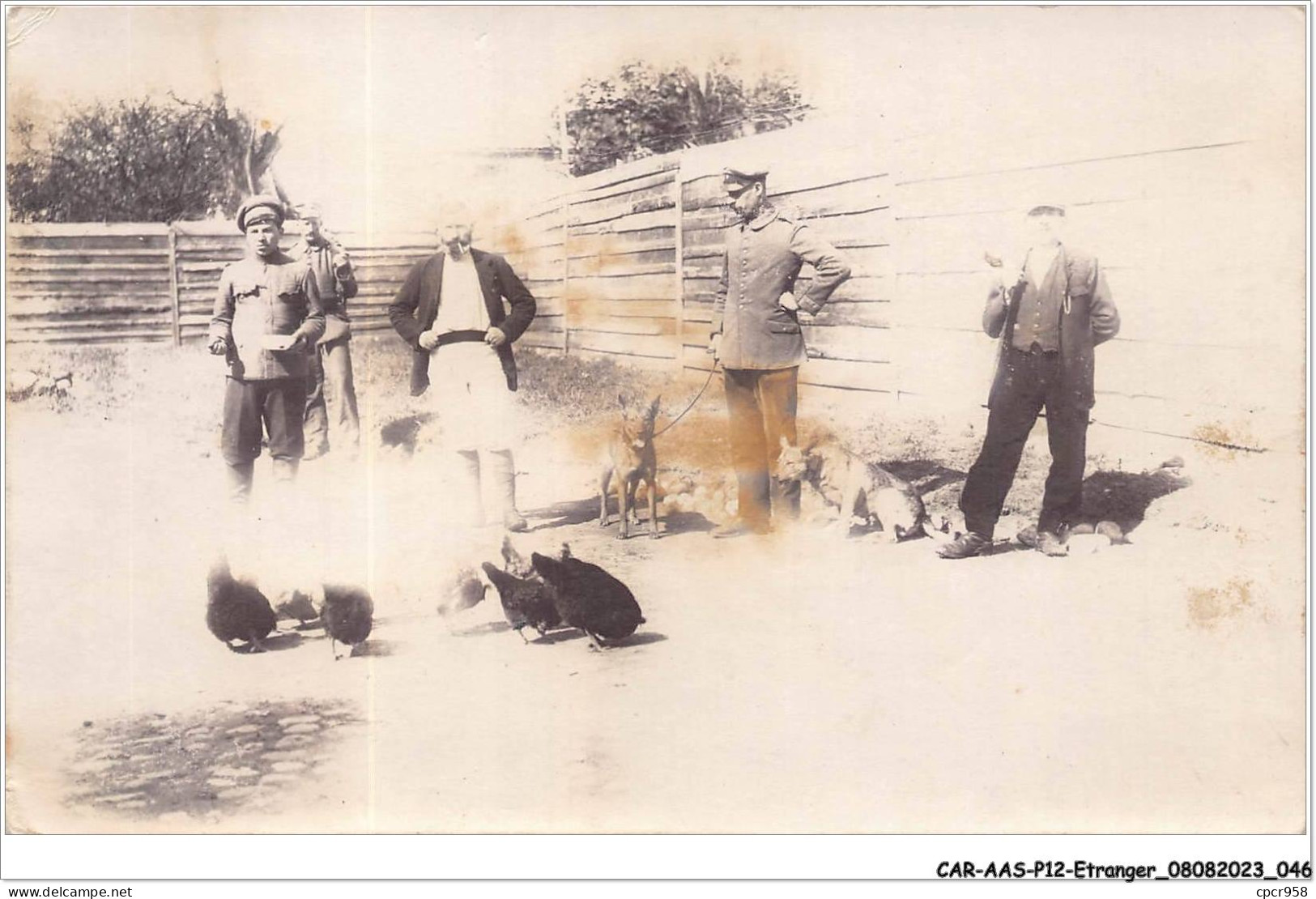 CAR-AASP12-0831 - ALLEMAGNE - CARTE PHOTO - TRAUNSTEIN - HOMMES ET POULETS - Traunstein