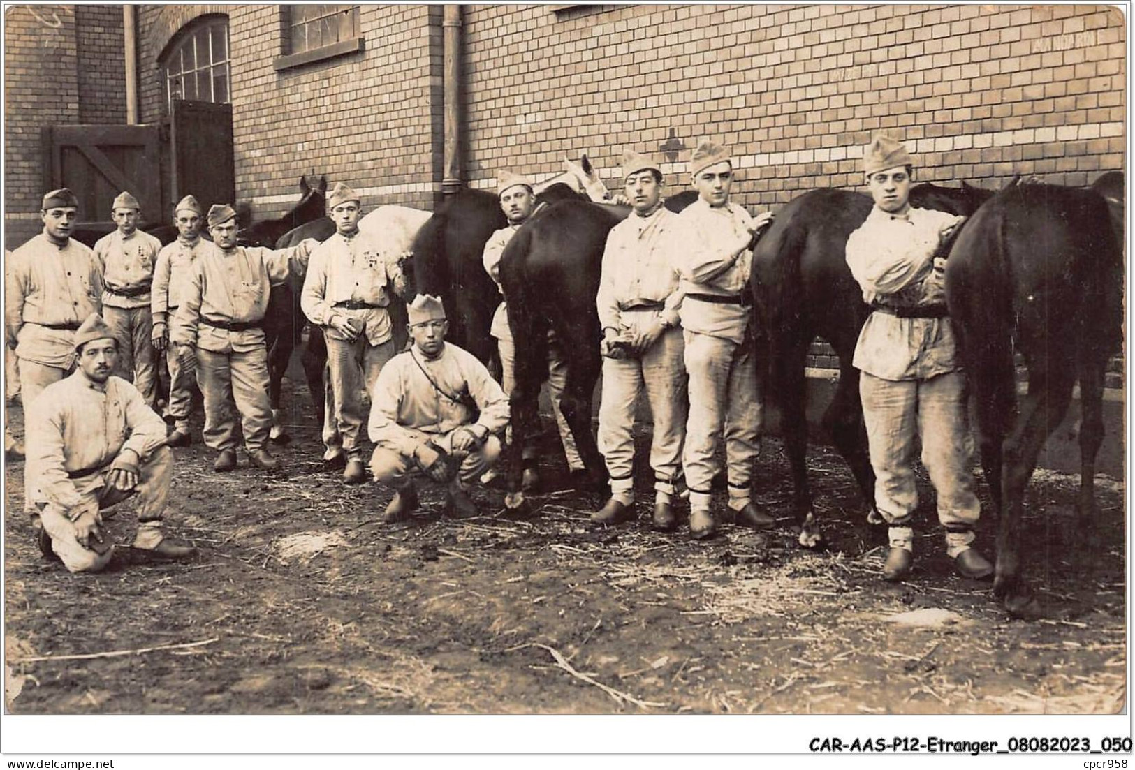 CAR-AASP12-0833 - ALLEMAGNE - CARTE PHOTO - MAINZ - HOMMES ET CHEVAUX - Mainz