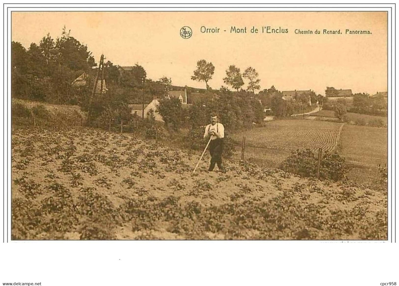 BELGIQUE.ORROIR.MONT DE L&amp;acute ENCLUS.CHEMIN DU RENARD, PANORAMA - Otros & Sin Clasificación