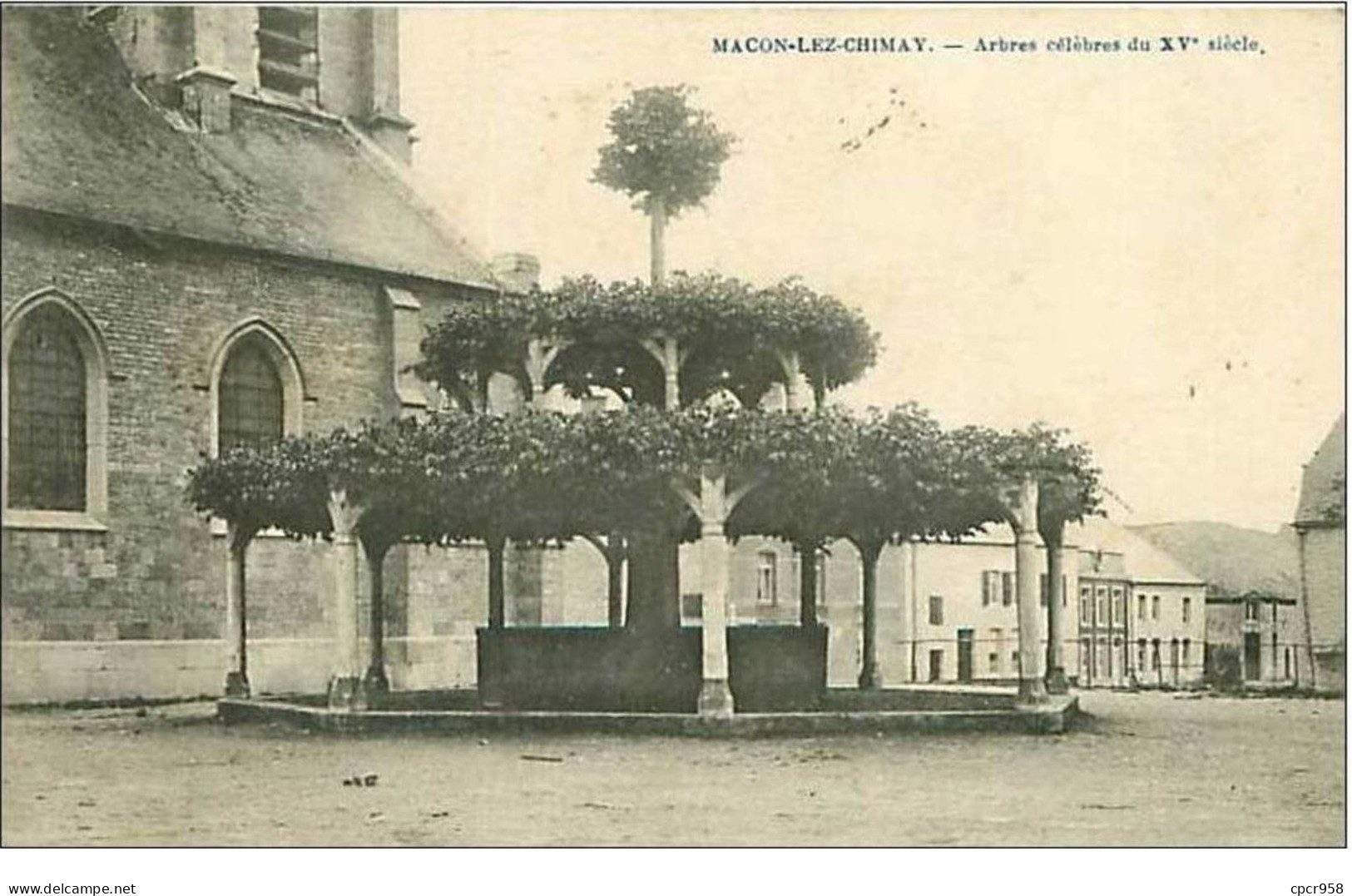 BELGIQUE.MACON LEZ CHIMAY.ARBRES CELEBRES DU XVe SIECLE - Momignies