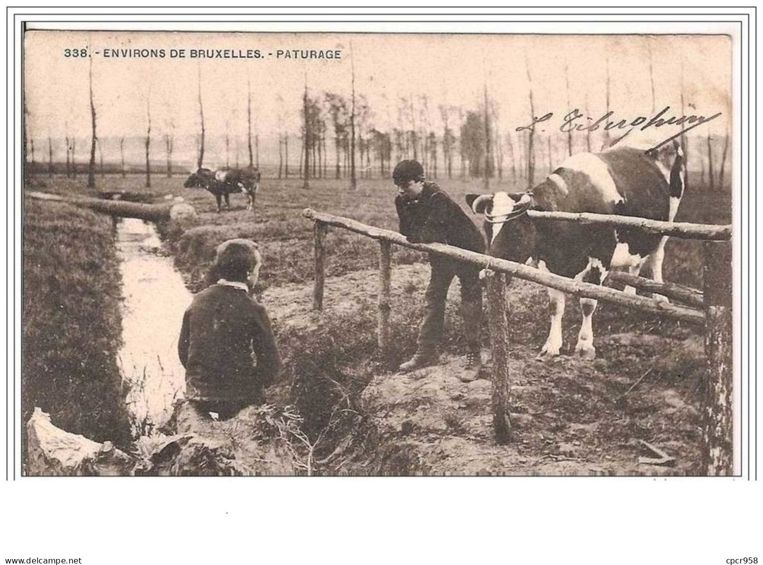 BELGIQUE.BRUXELLES.ENVIRO  NS DE BRUXELLES.PATURAGE. - Altri & Non Classificati