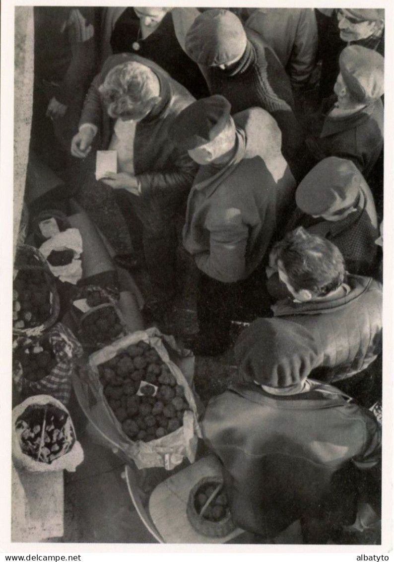 2 Cartes Postales Foire 8 Janvier 1957 Truffe Du Périgord Dordogne Lot Marché De Truffes De Montgesty Tartufo Champignon - Markets