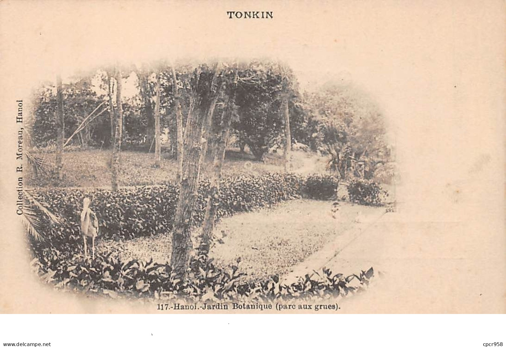 Viêt-Nam - N°67613 - TONKIN - HANOï - Jardin Botanique (parc Aux Grues) - Vietnam